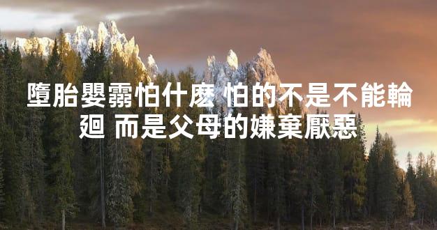 墮胎嬰霛怕什麽 怕的不是不能輪廻 而是父母的嫌棄厭惡